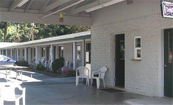 הפי קאמפ Forest Lodge Motel מראה חיצוני תמונה