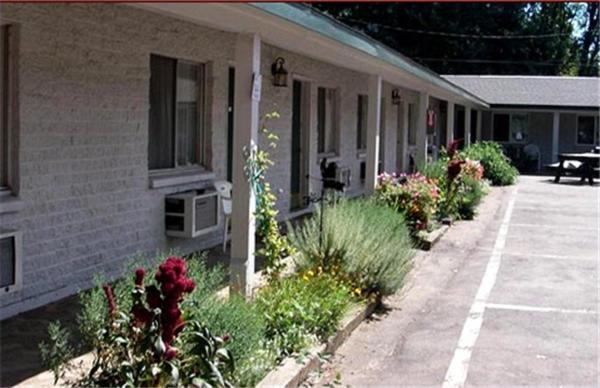 הפי קאמפ Forest Lodge Motel מראה חיצוני תמונה