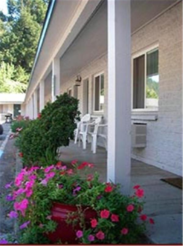 הפי קאמפ Forest Lodge Motel מראה חיצוני תמונה