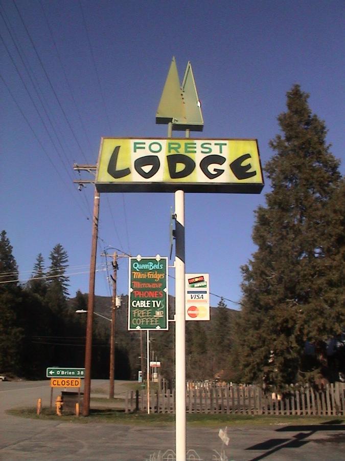 הפי קאמפ Forest Lodge Motel מראה חיצוני תמונה
